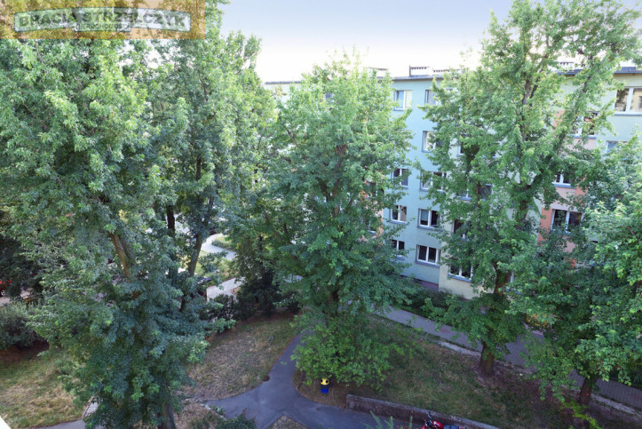 Mieszkanie Wynajem  Bielany 10